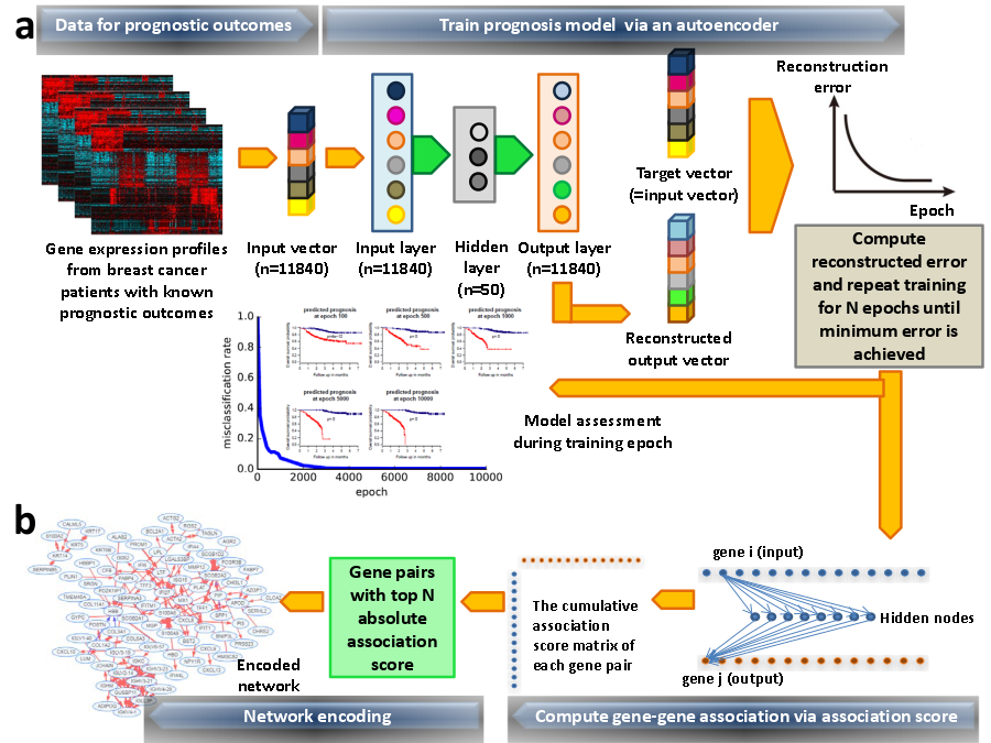 DNE workflow